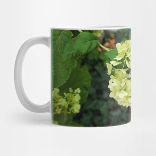 White Hydrangea Mug